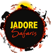 Jadore Safaris